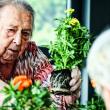Mujer mayor plantando unas flores